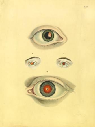 Livre Krankheiten des Menschlichen Auges par Dr. C. G. T. Ruete Verlag Teubner Leipzig